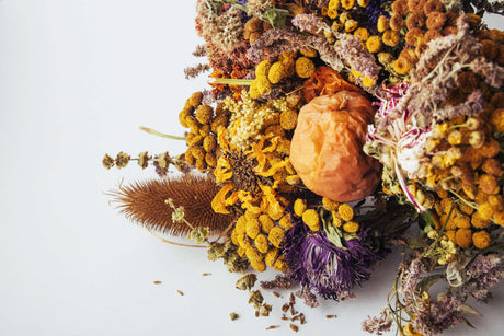 Dried flower arrangement with golden pods and a shriveled apple on white