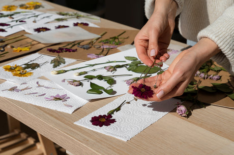A view of a crafting table with a pair of hands laying out pressed flowers on sheets of kitchen paper