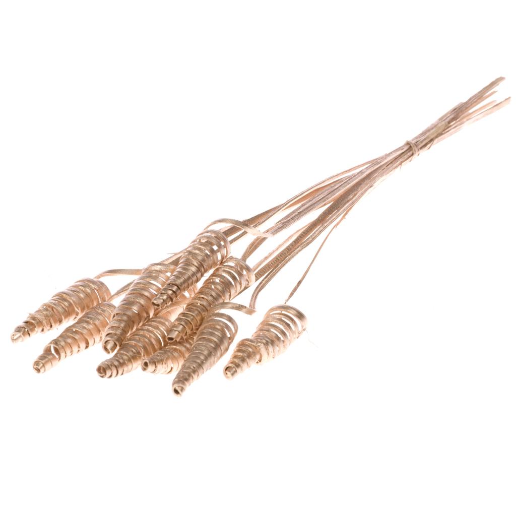 Pre Order Cane cone warm gold, Box x 30