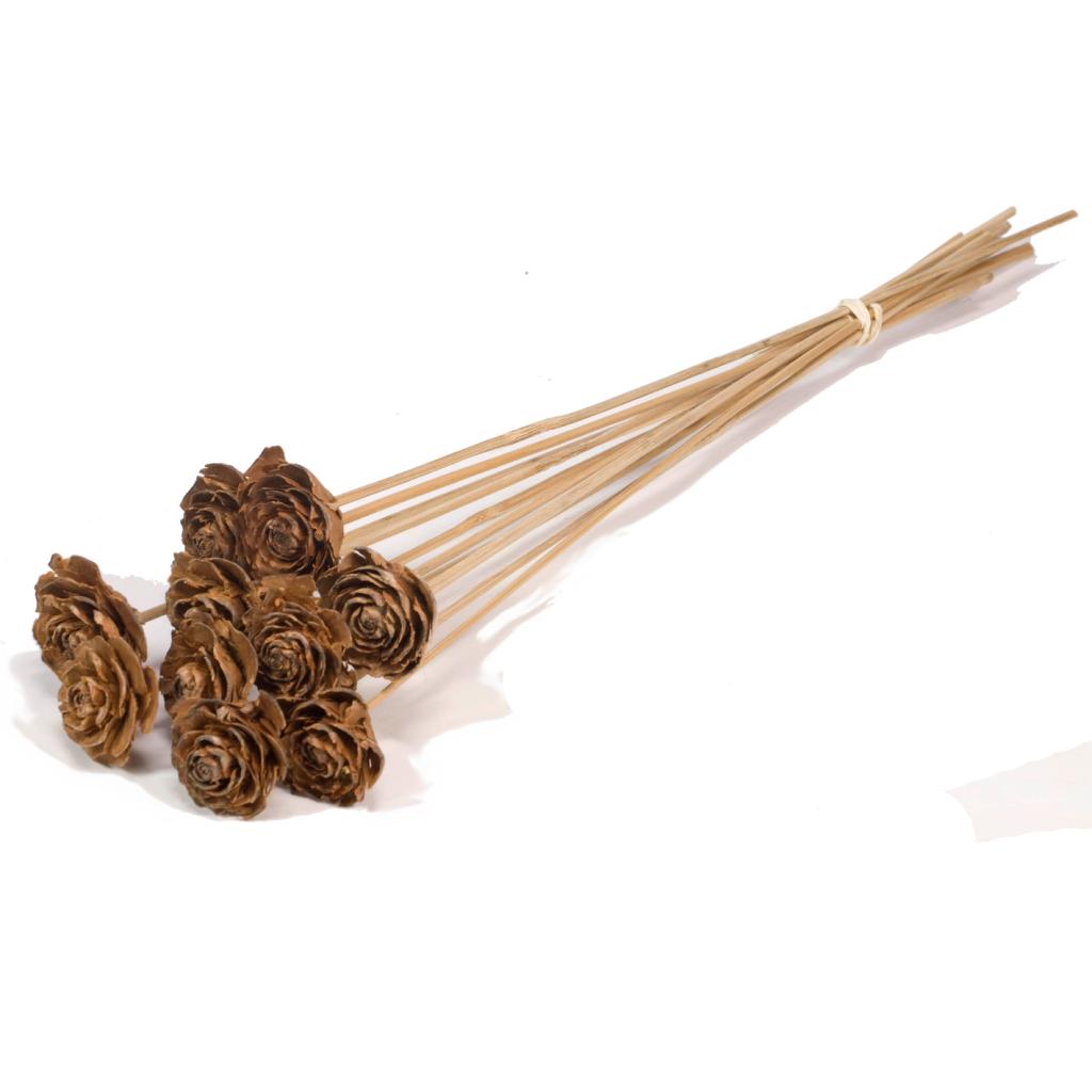 Pre Order Cedar rose on stem natural brown, box x 25