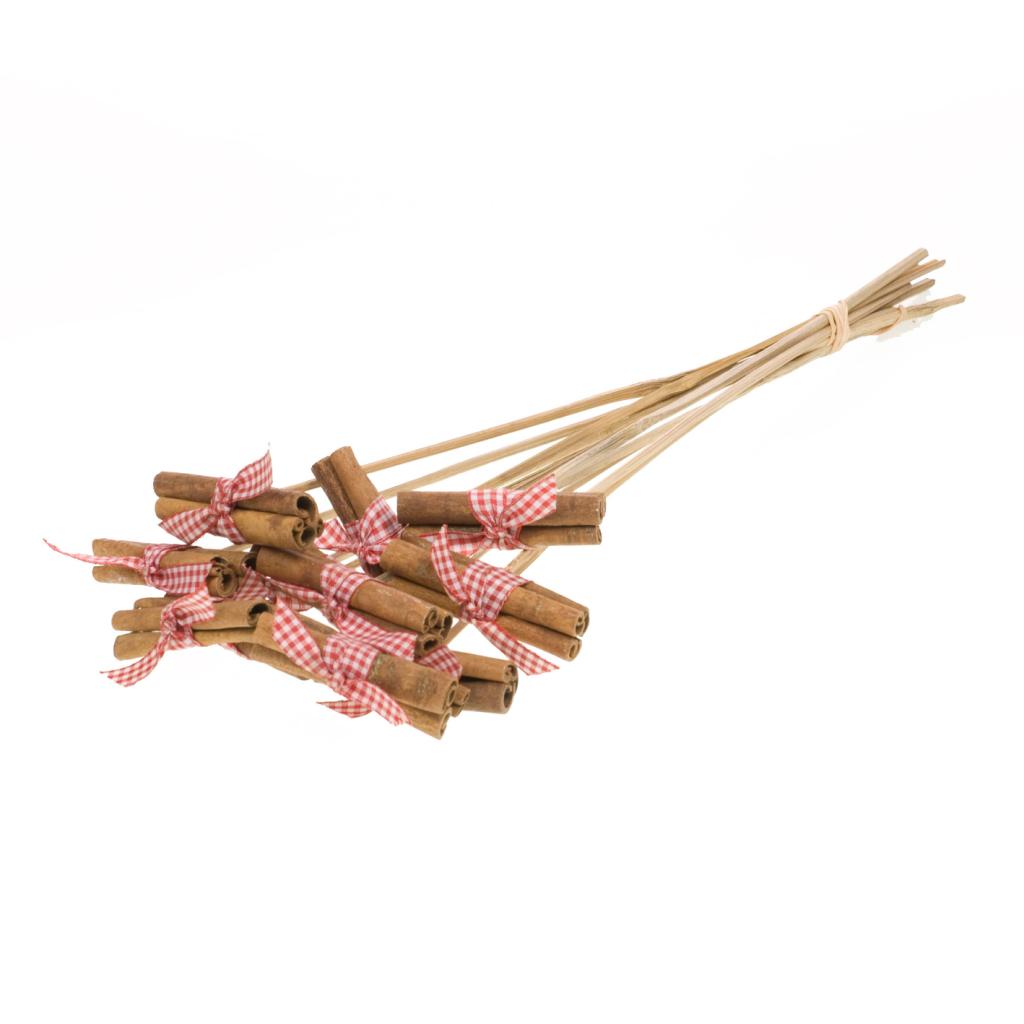 Pre Order Cinnamon 8cm posy on stem red/wh gingham bow, Box x 18