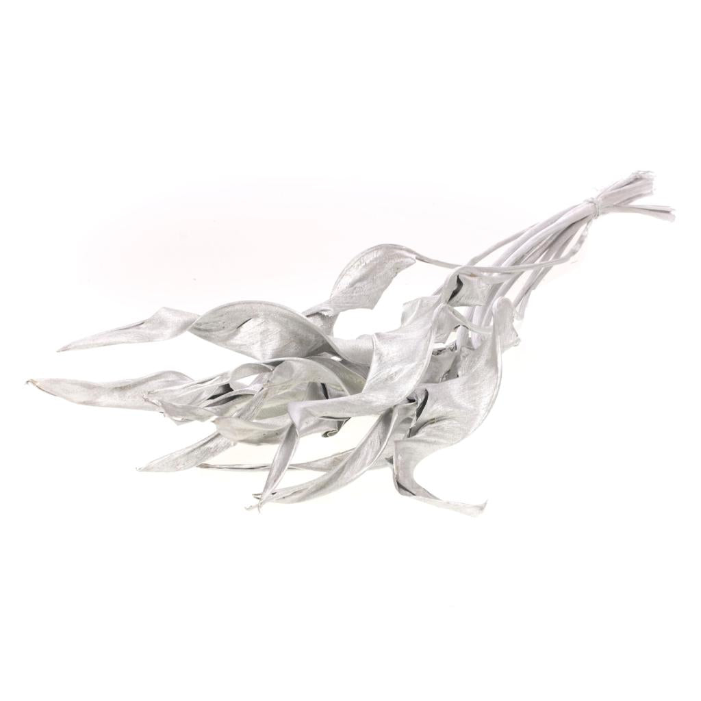 Pre Order Strelizia leave silver, Box x 10