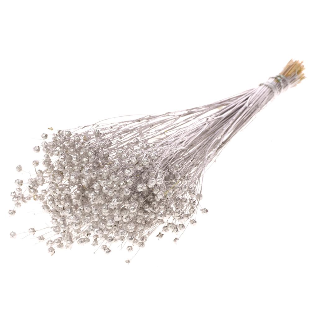 Pre Order Linum silver, Box x 20