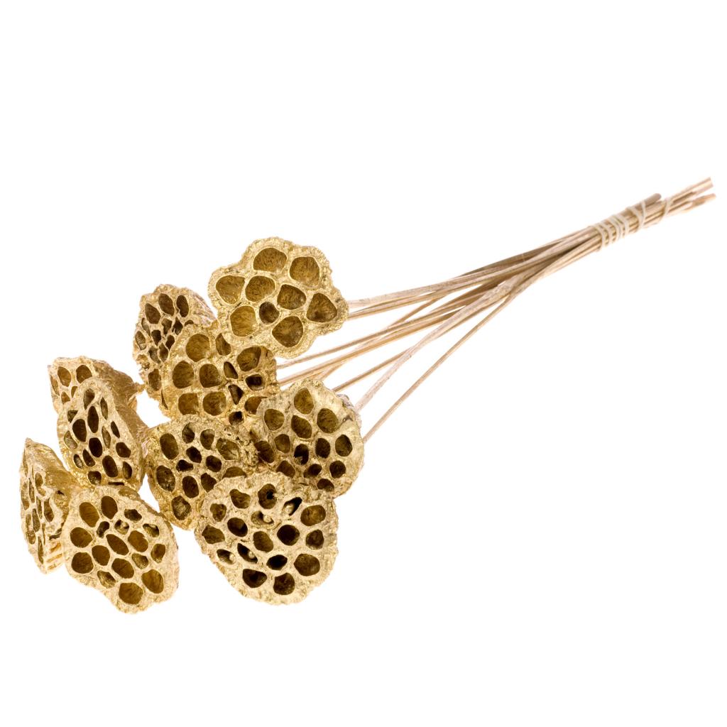 Pre Order Lotus medium on stem gold, Box x 12