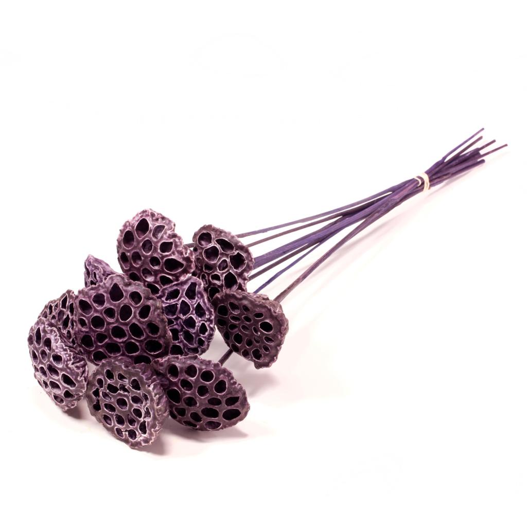 Pre Order Lotus medium on stem wax purple, Box x 9
