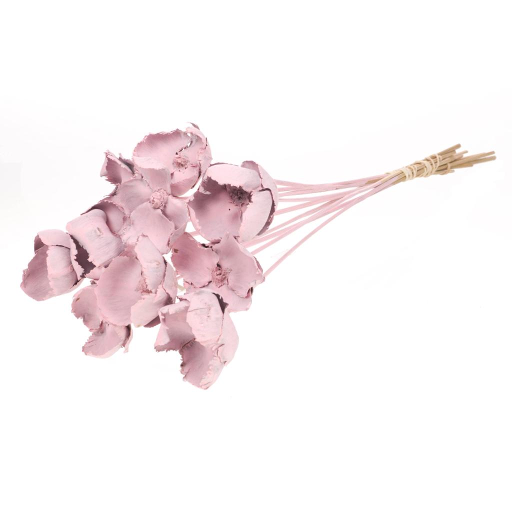 Pre Order Palmcup on stem pink misty, box x 12