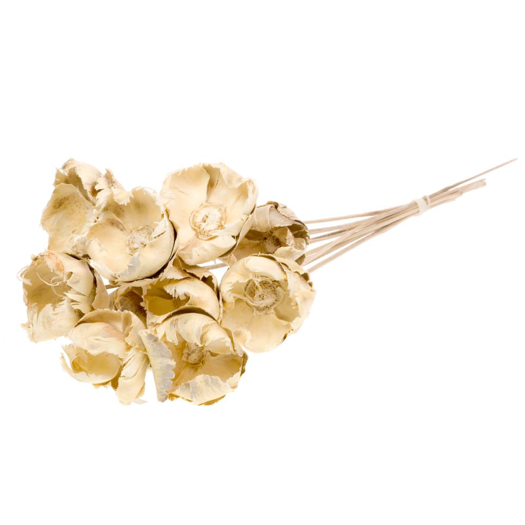 Pre Order Palmcup on stem bleached white, box x 15