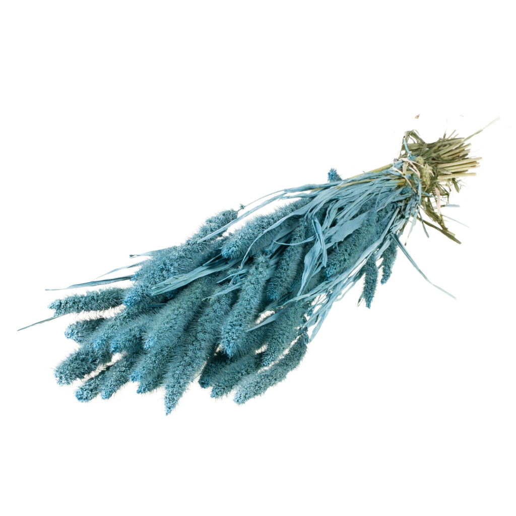 Pre Order Setarea blue misty, box x 20