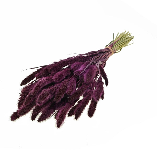 Pre Order Setarea prune, box x 20