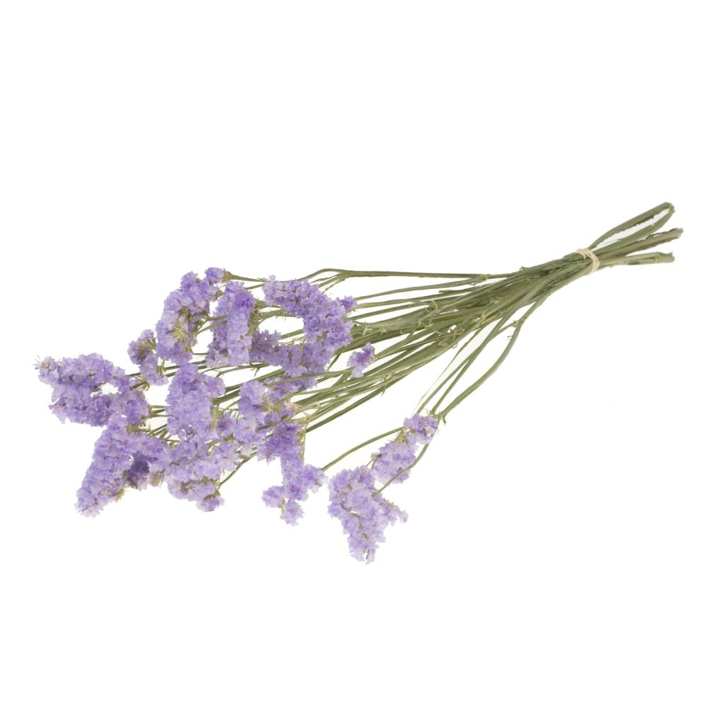 Pre Order Statice sinuata natural lilac , box x 20