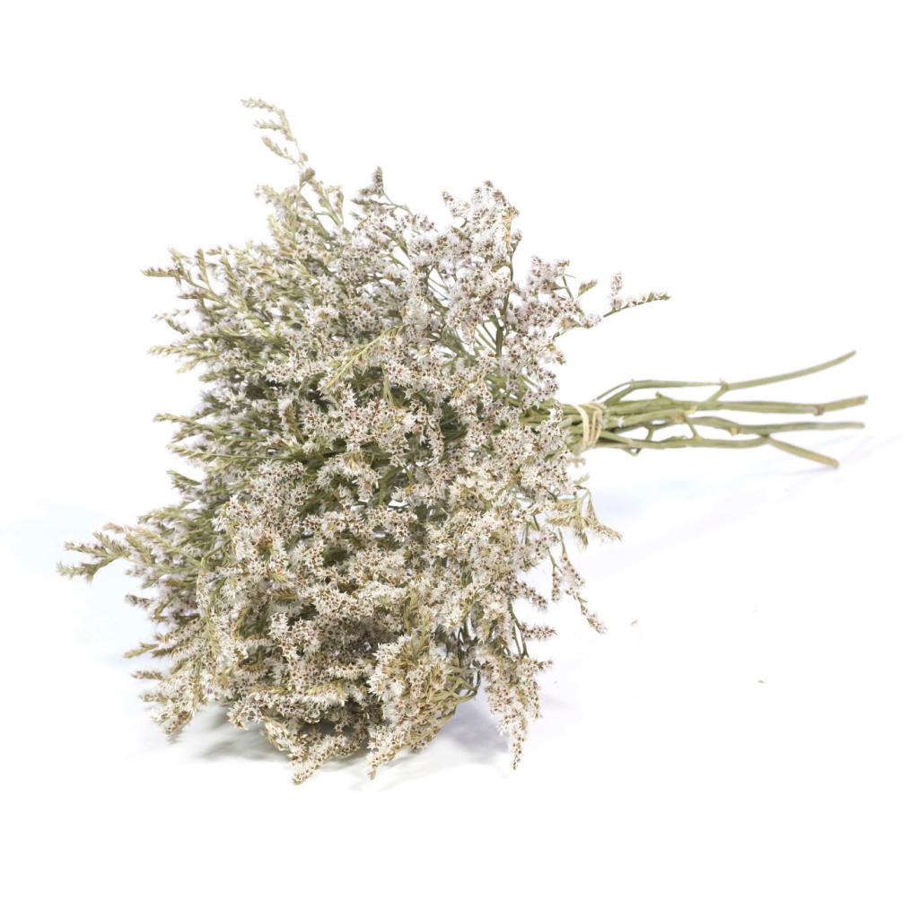 Pre Order Statice tatarica kg natural white, box x 2kg