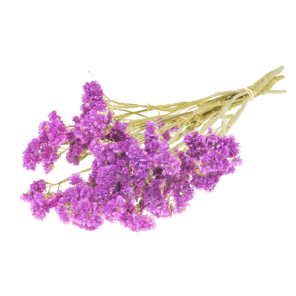 Pre Order Statice sinuata natural dark pink , box x 20