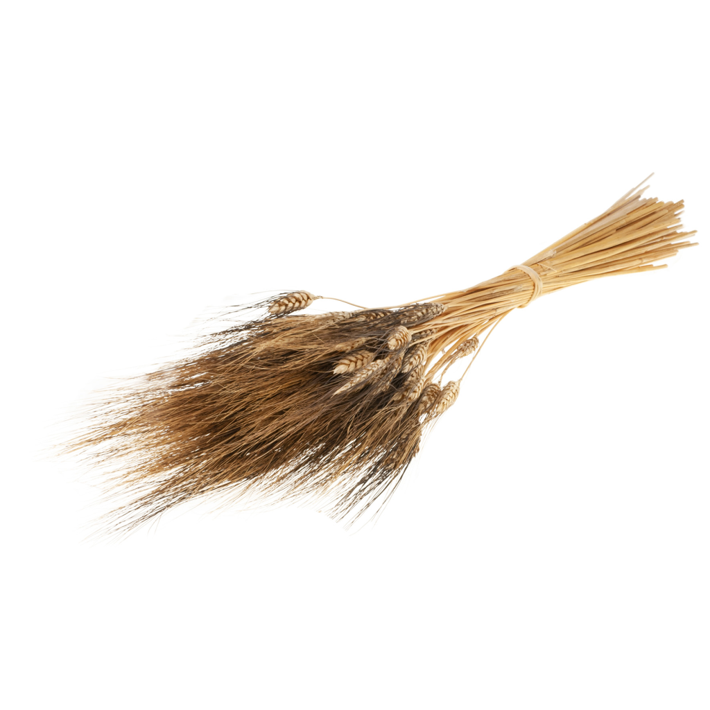 Pre Order Triticum 'black wisps' natural look black hair box x 20