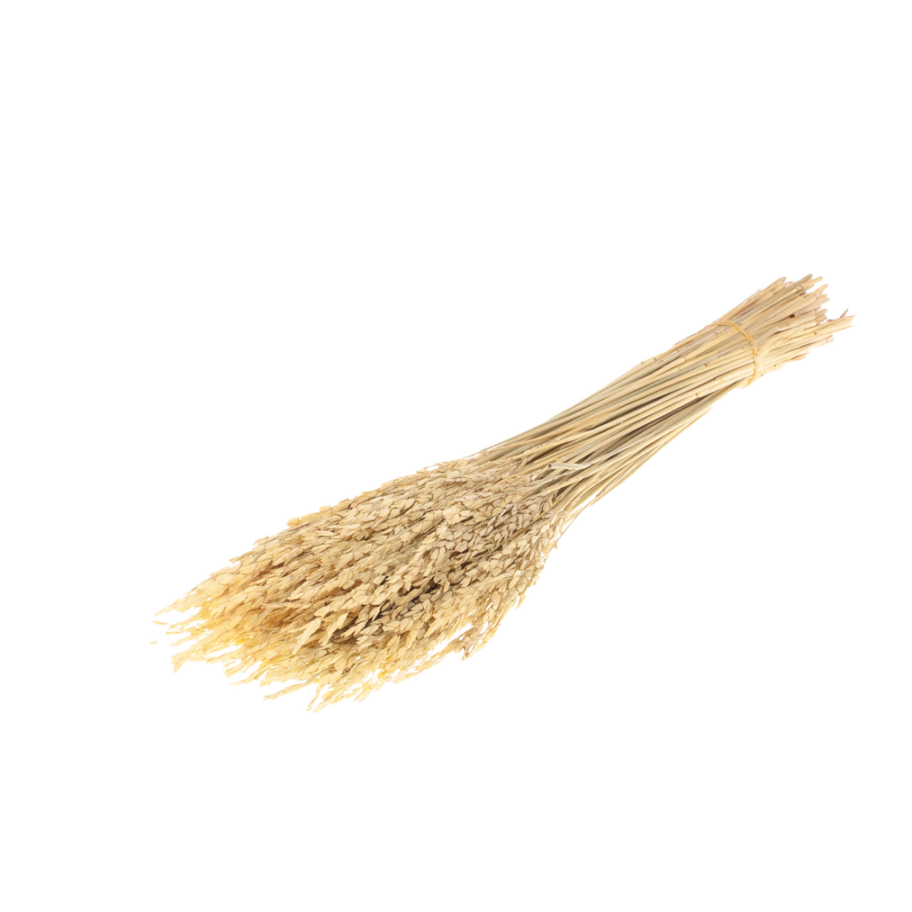 Pre Order Rice natural, box x 12