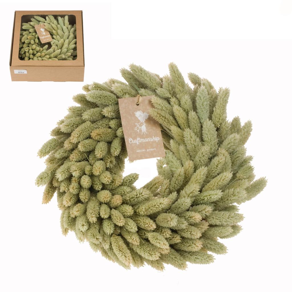 Pre Order Wreath phalaris 30cm natural, box x 9
