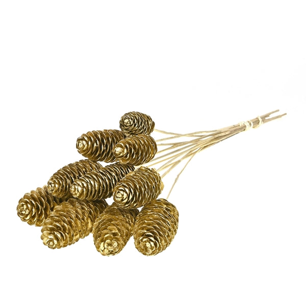 Pre Order Rai Cone 10-14cm on stem gold 10pc gold, box x 12