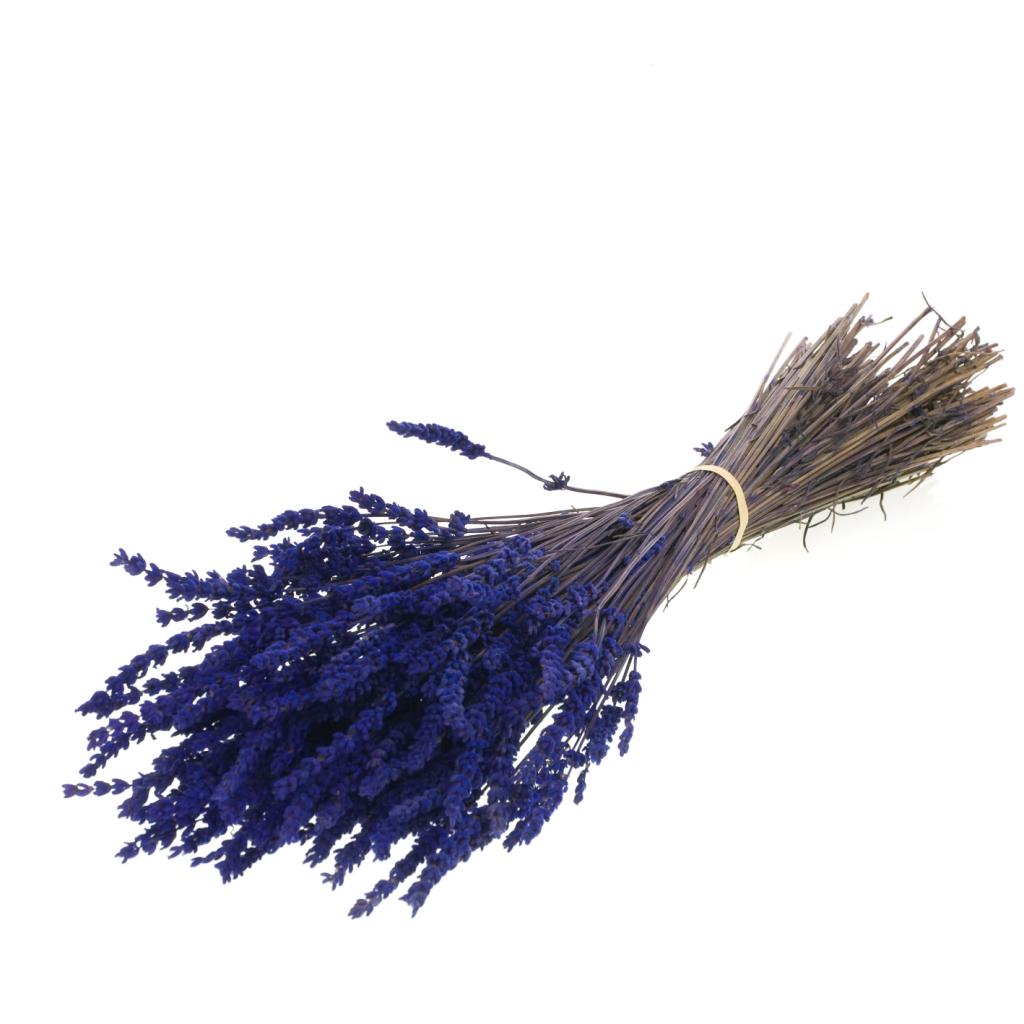 Pre Order Lavender preserved natural, box x 50