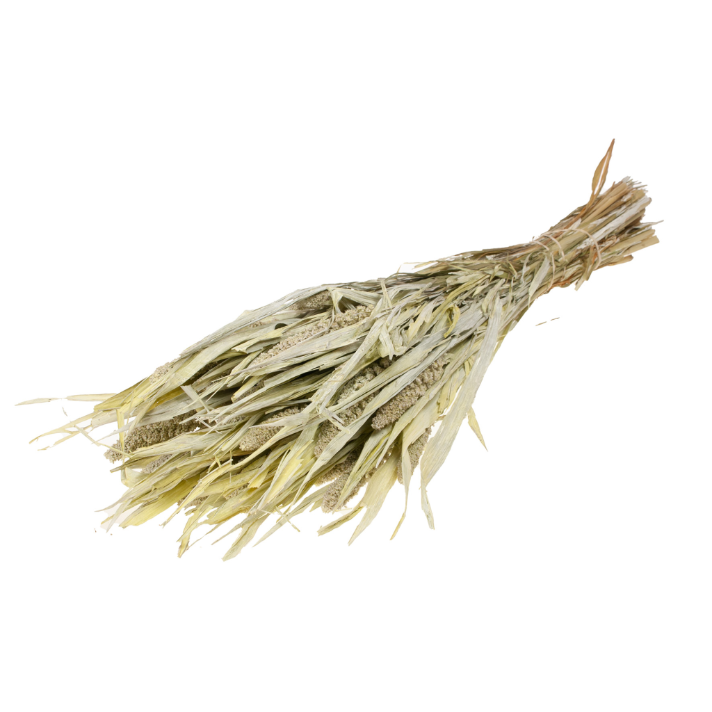 Pre Order Setarea italica white misty, box x 15