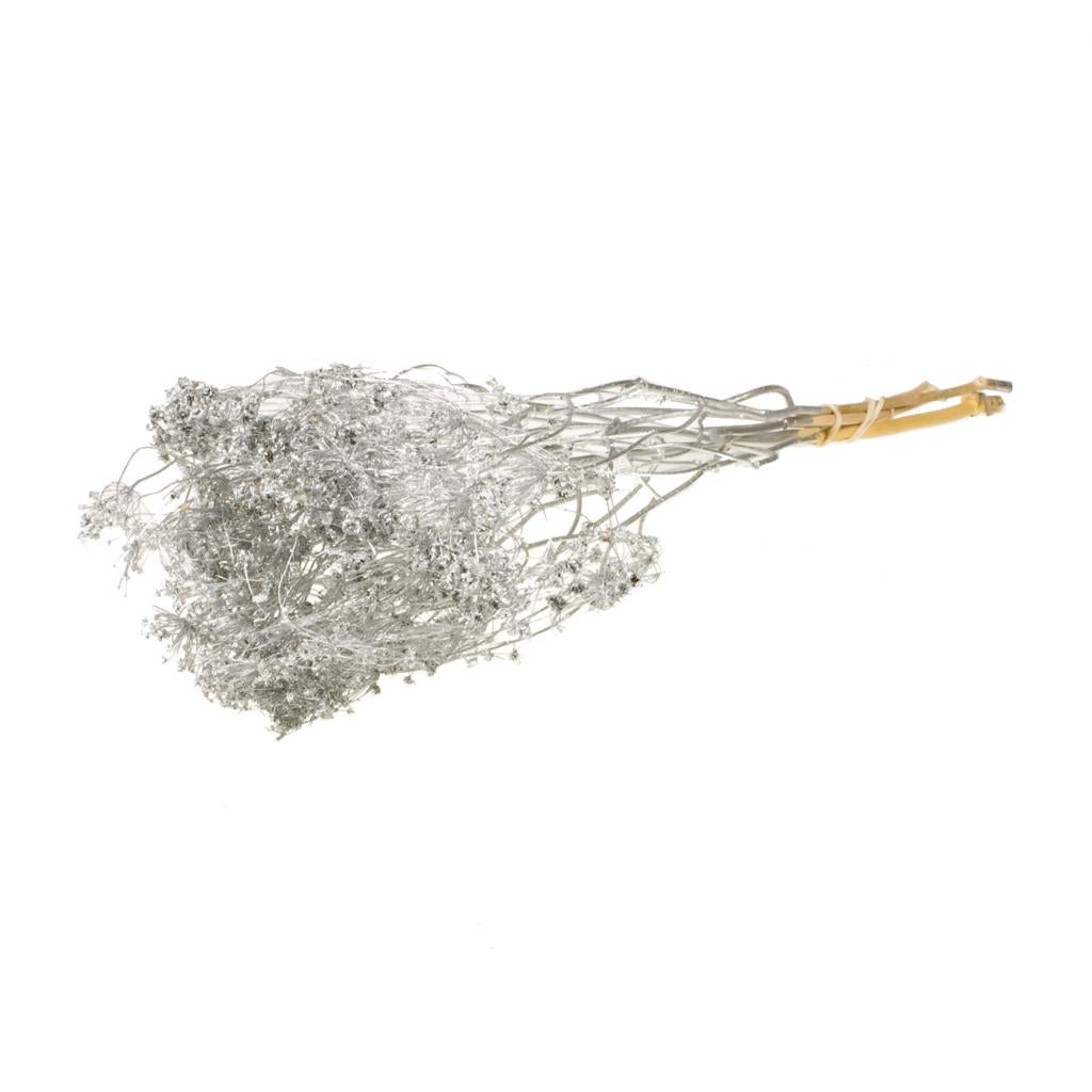 Pre Order Bupleurum open 55cm silver, Box x 20