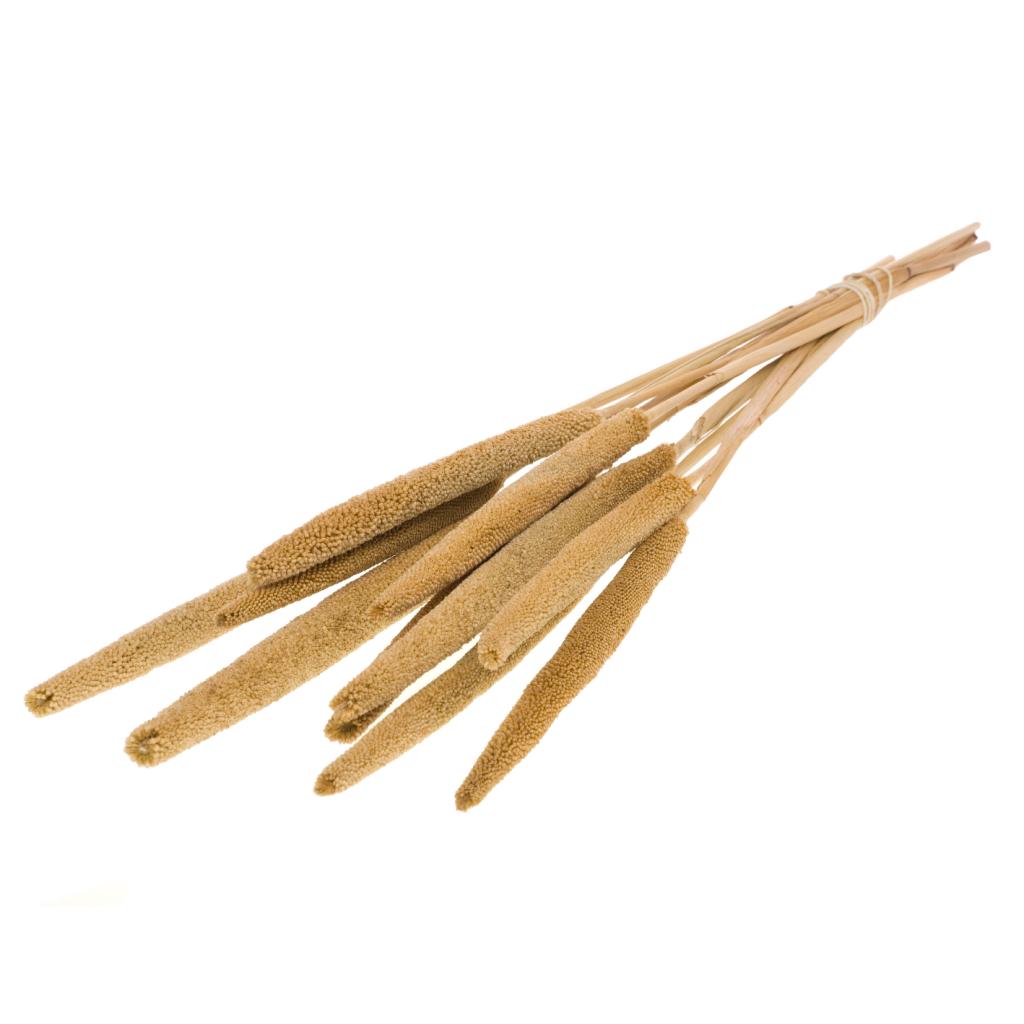 Pre Order Babla natural, box x 18