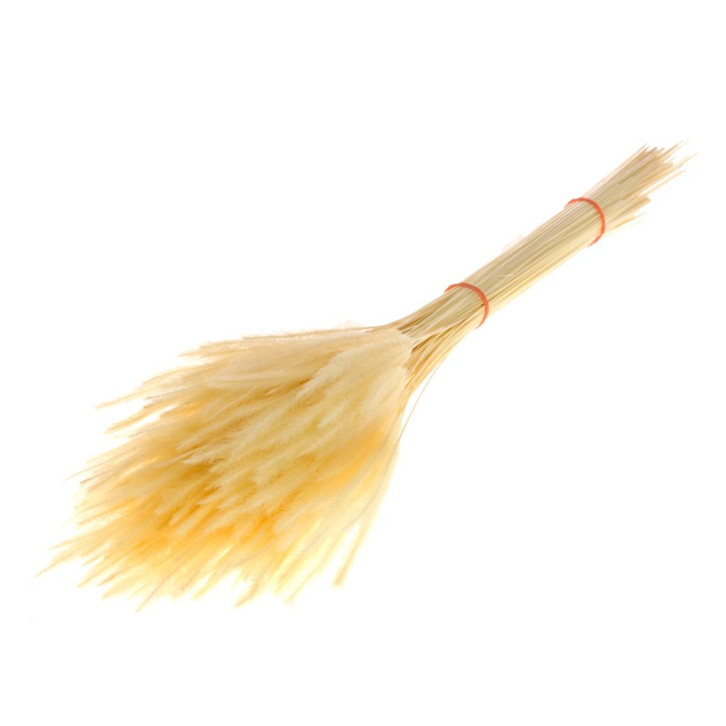 Pre Order Soft worms grass bleached white, box x 15