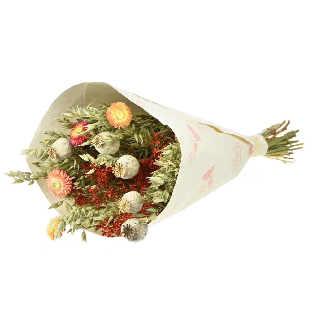 Pre Order Bqt LooseFit Marrakesh 50cm craft slv nat/coral box x 8