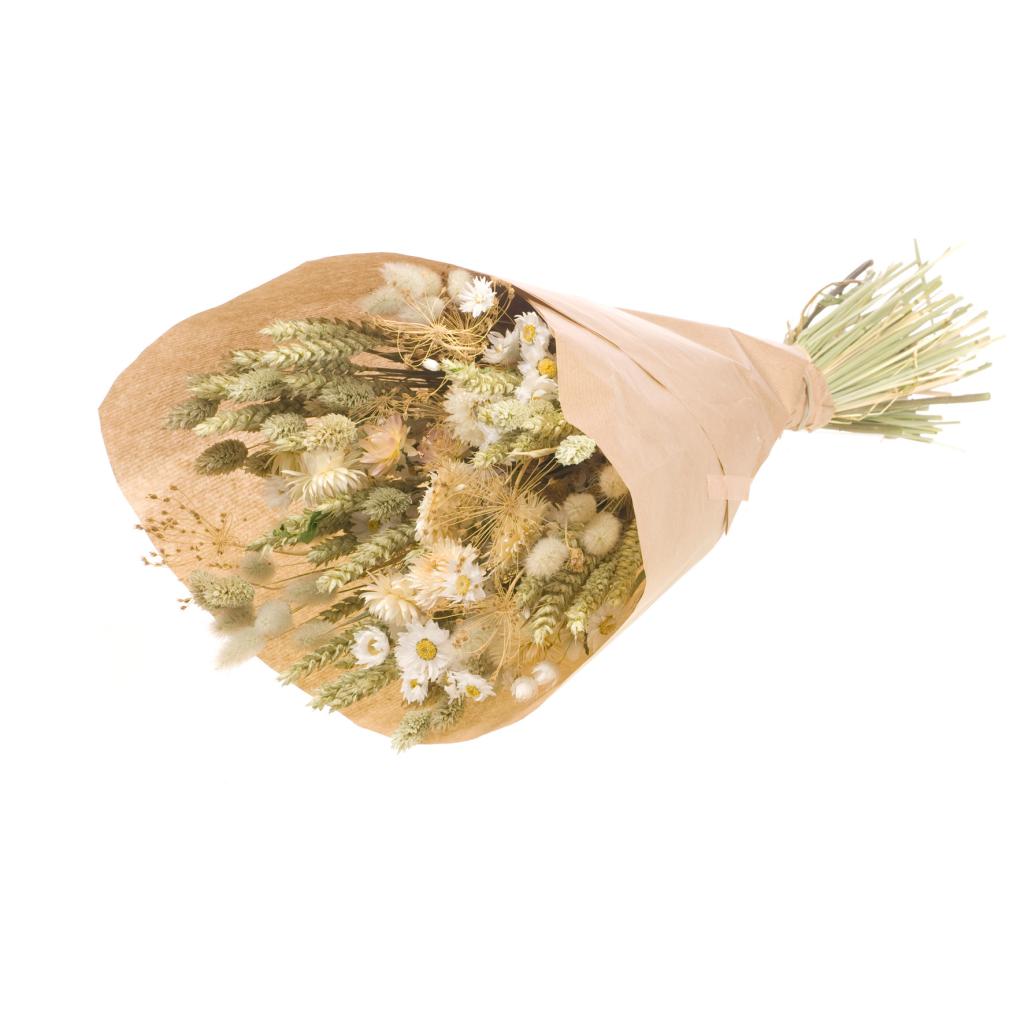 Pre Order Bqt Lg Anita 55cm craft sleeve natural/white, box x 4