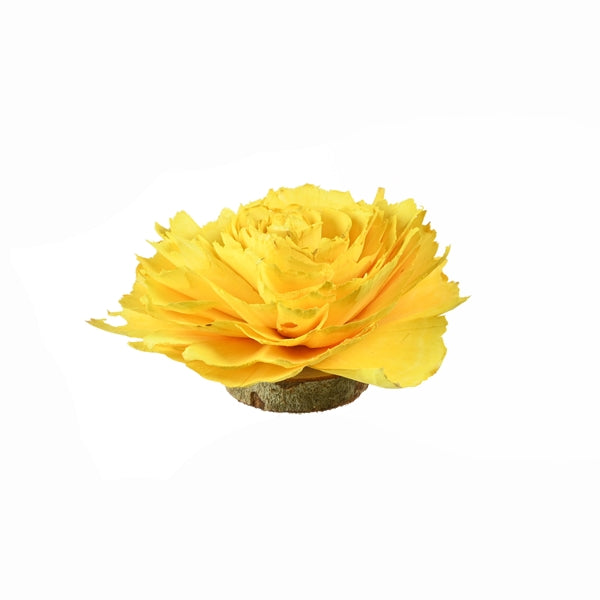 Pre Order Sola cabbage rose 12 cm yellow Riva pastel yellow, box x 24
