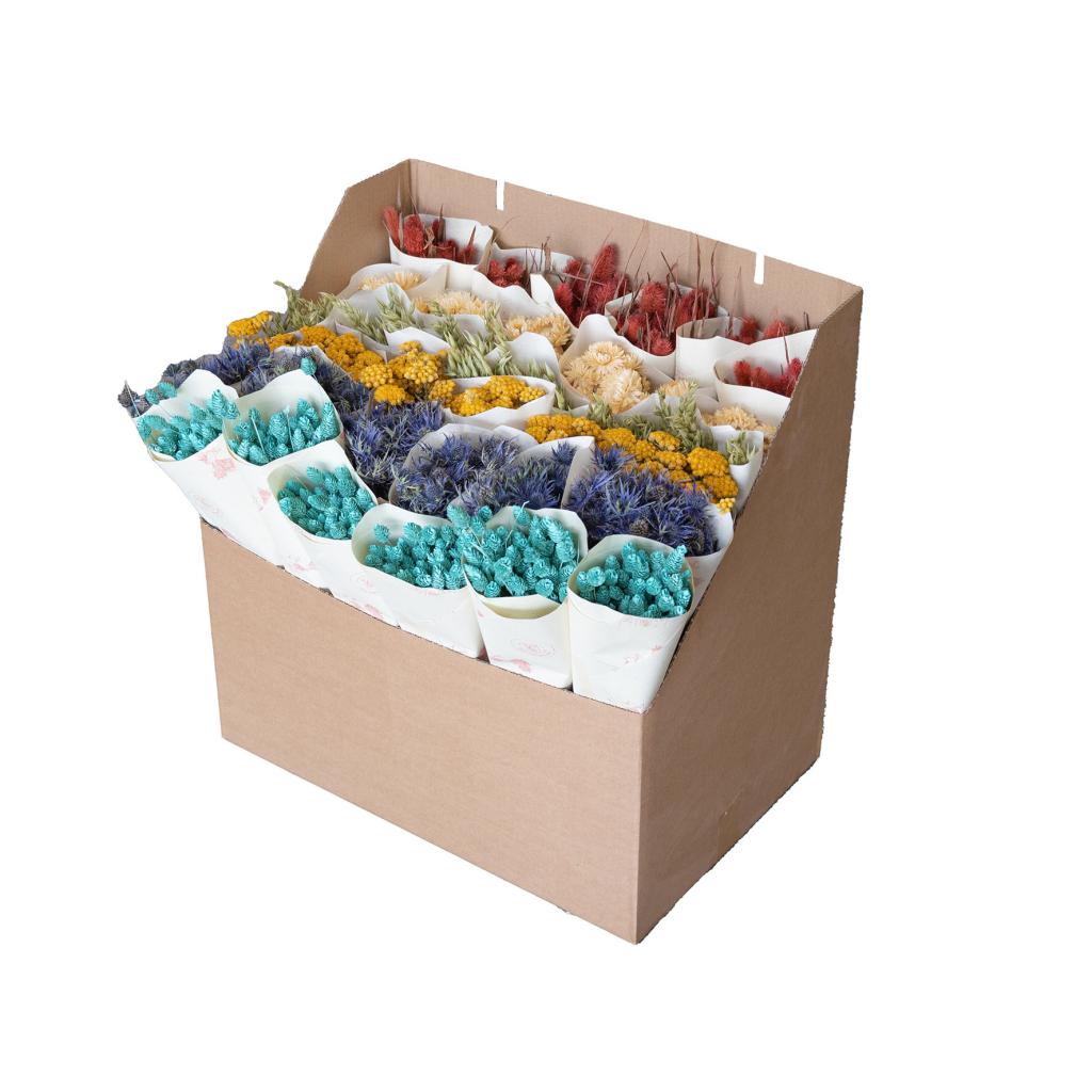 Pre Order Display D2-1 Spring 25 mixed , each