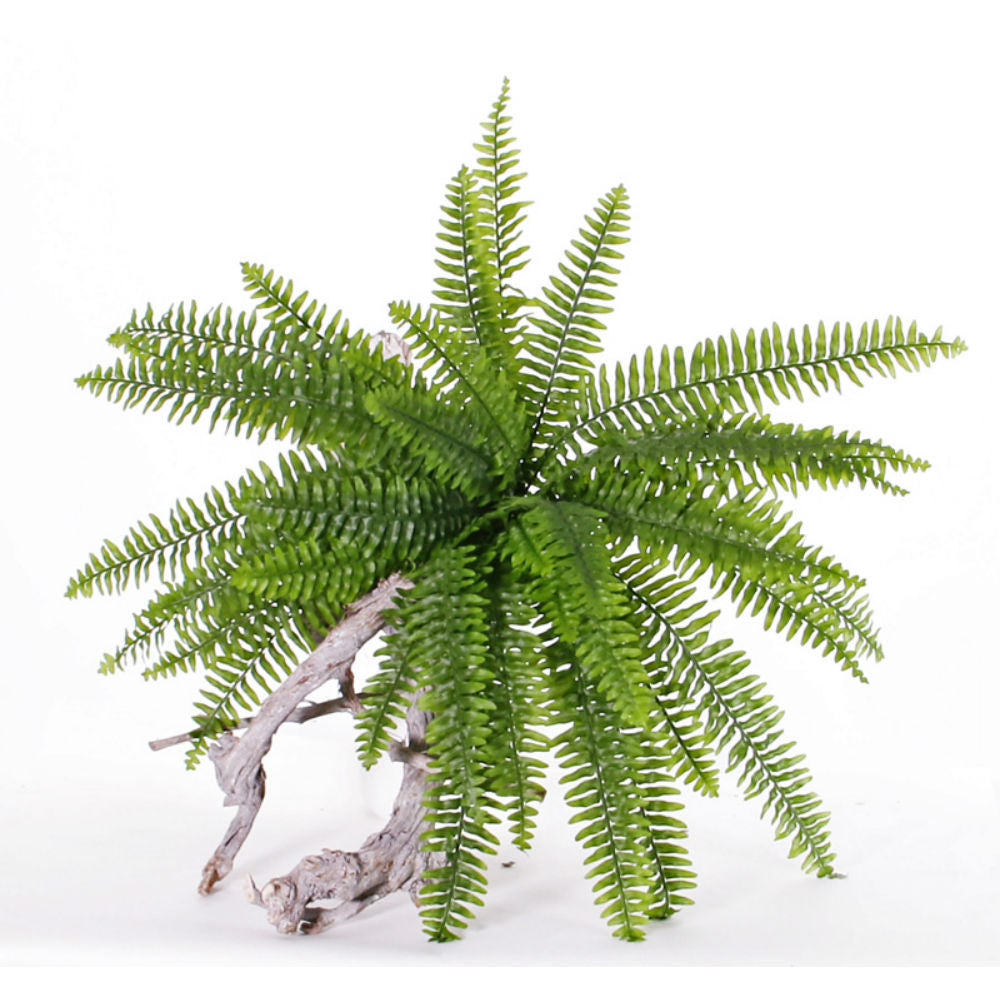Boston or Nephrolepis Fern Plant, Artificial, diameter 90cm, UV