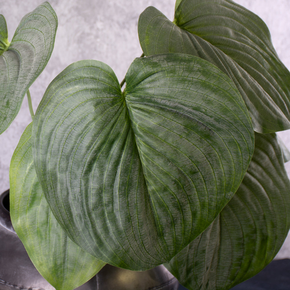 Artificial Hosta plant, (Heart Lily), Large, 66cm