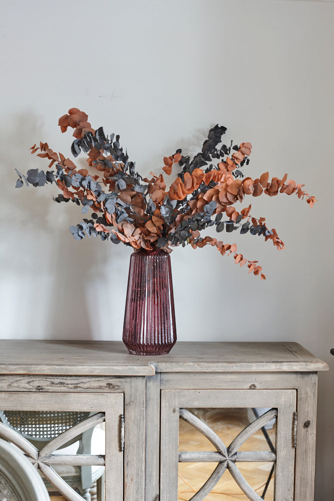 Eucalyptus Stuartiana, Preserved, Halloween, 150g