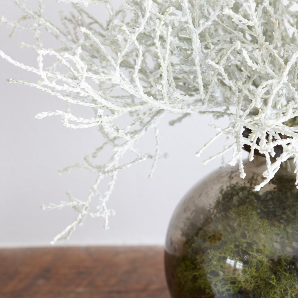 Calocephalus, (Cushion Bush), Artificial, 25cm