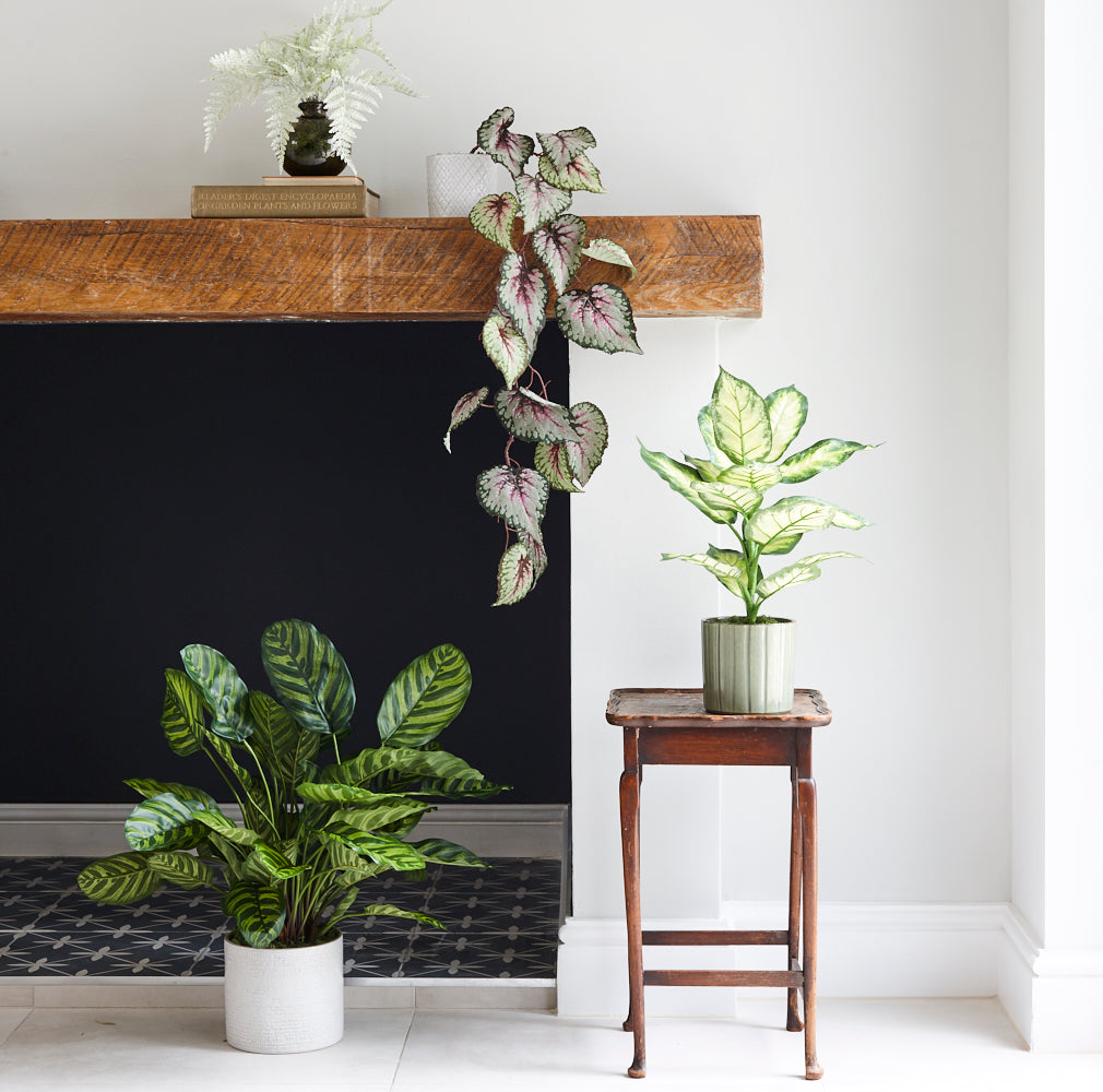 Calathea makoyana, Artificial, 65cm Ø x 67cm, in Pot
