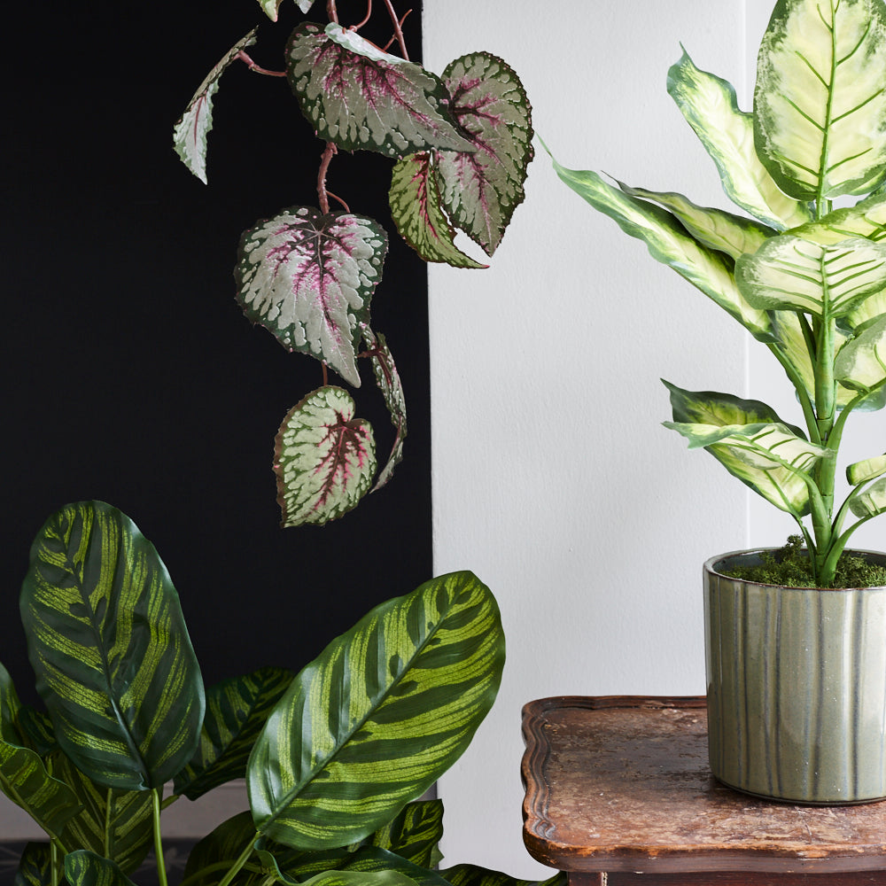 Dieffenbachia, Artificial, Cream/Green, 30x40cm, FR