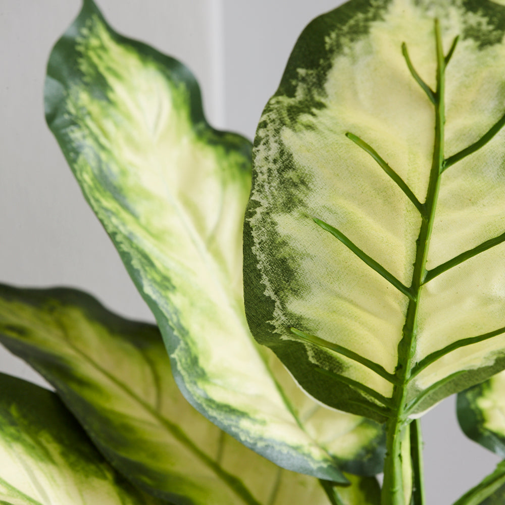Dieffenbachia, Artificial, Cream/Green, 30x40cm, FR