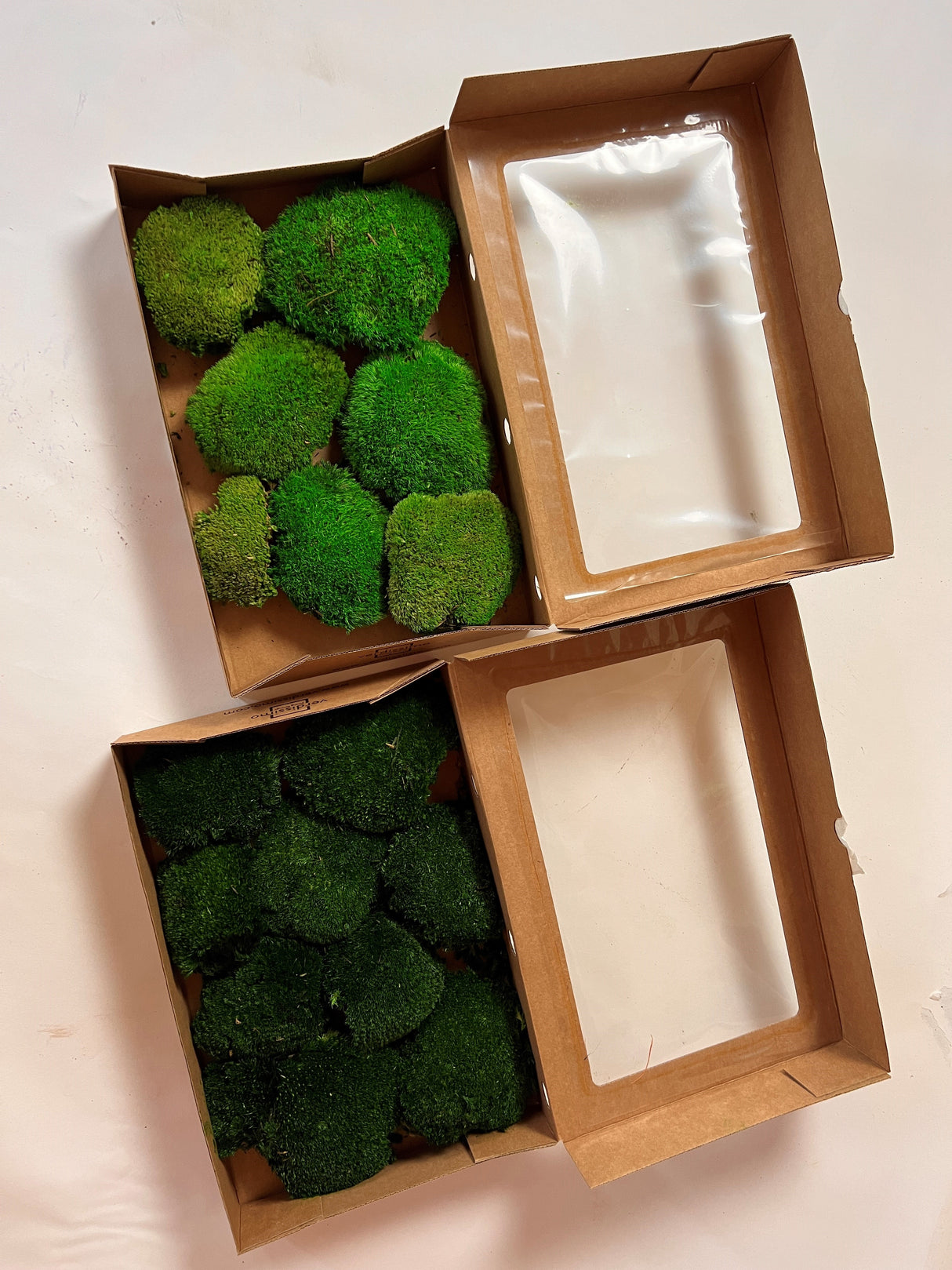 Ball Moss, Preserved, Dark Green, 250g Box