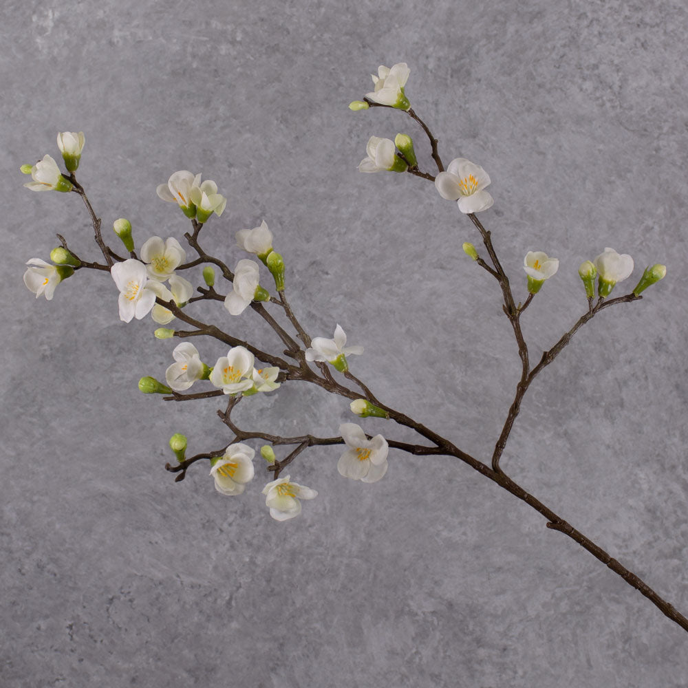 Faux Blossom Branch - Quinn, Cream, 70cm
