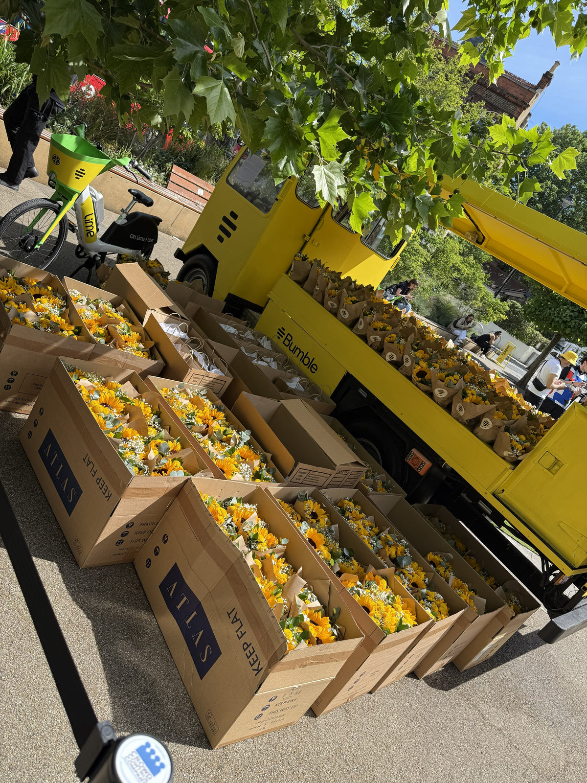 Boxes of yellow sunflowers and bouquets arranged on the ground next to a yellow delivery truck in an outdoor street setting under leafy trees.