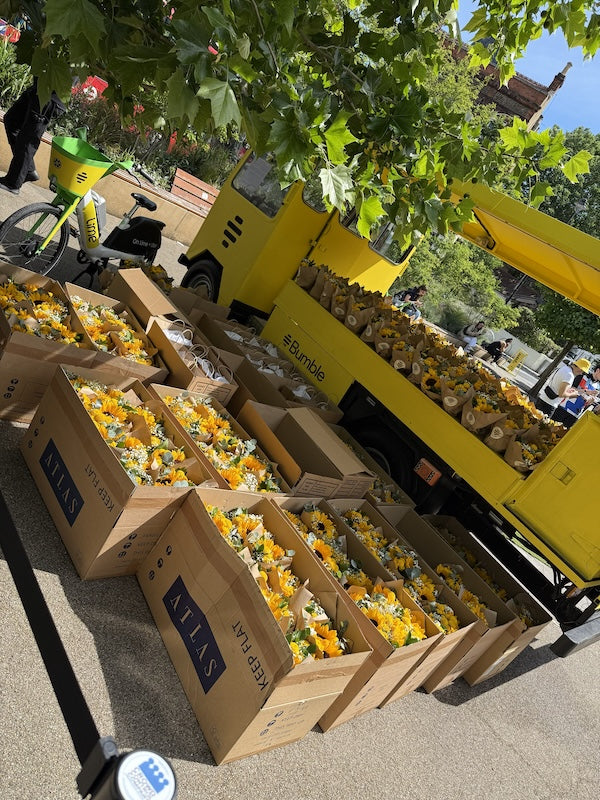 Boxes of yellow flowers arranged on the ground next to a yellow delivery truck under leafy trees.