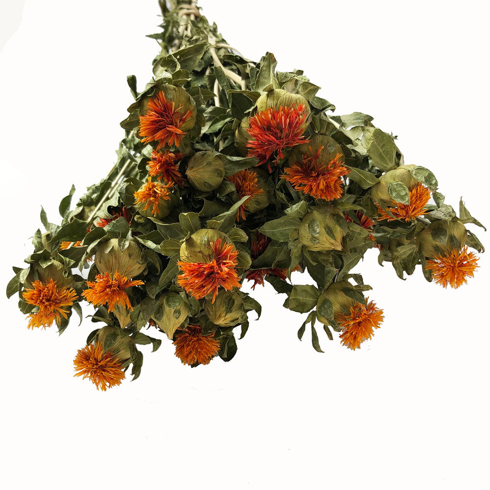Carthamus, Dried, Natural Orange, 65cm