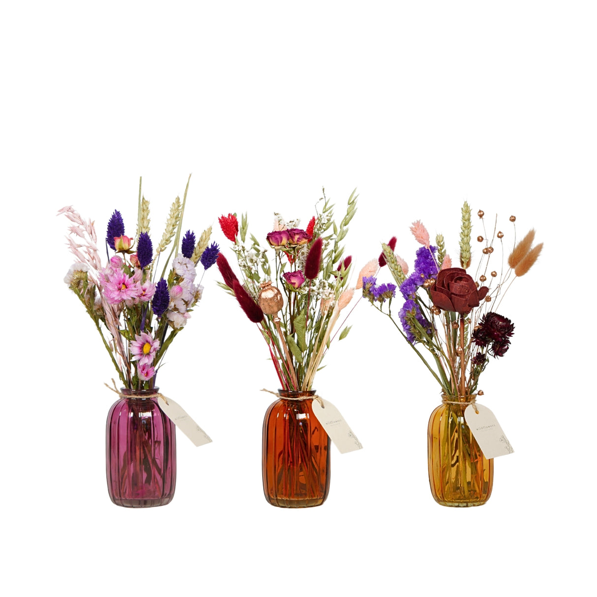 Pre Order dried flowers in bottle, mix, terra, box x 12