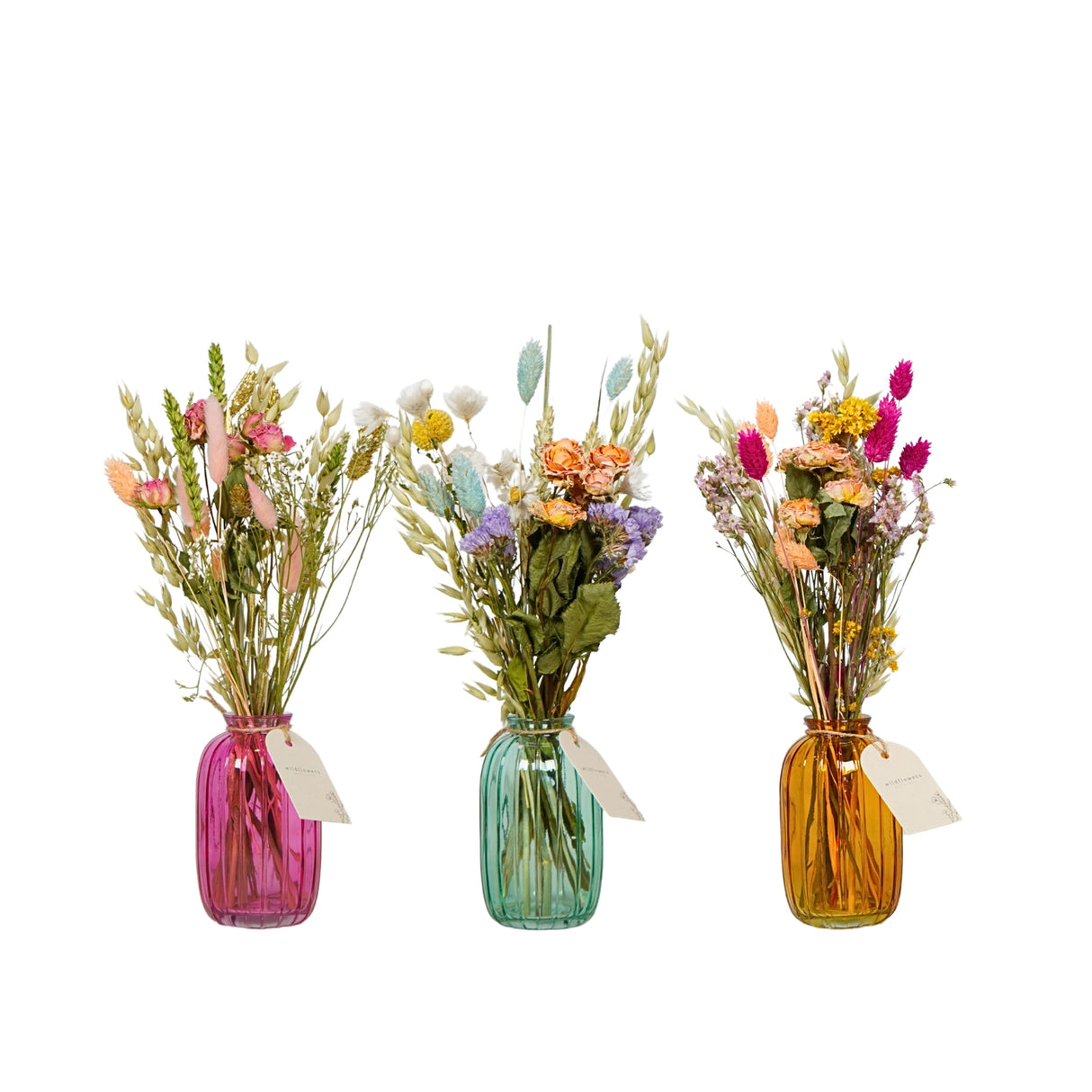 Pre Order dried flowers in bottle, mix, pastel, box x 12