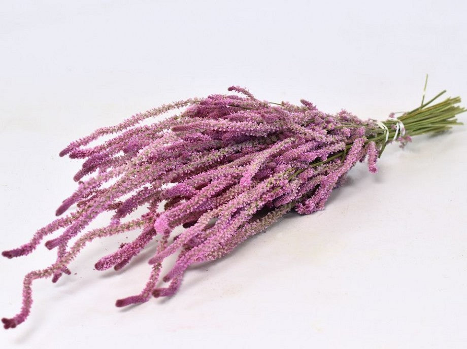 Statice Suworowii, Dried, Natural Pink