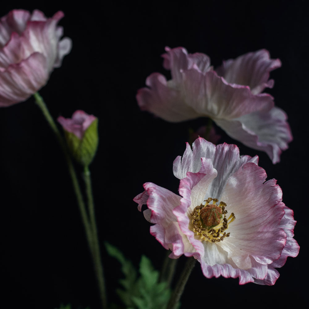 Papaver, (Poppy), Artificial, Pink, 65cm