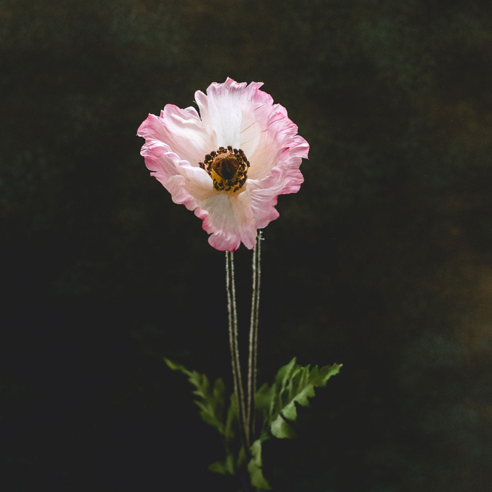 Papaver, (Poppy), Artificial, Pink, 65cm