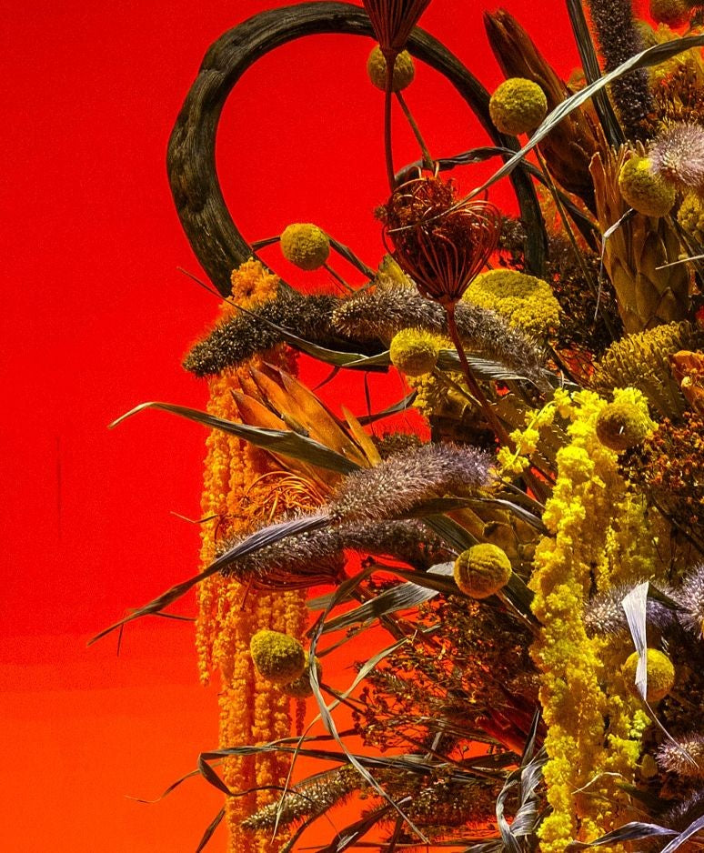 collection of different flowers on orange background