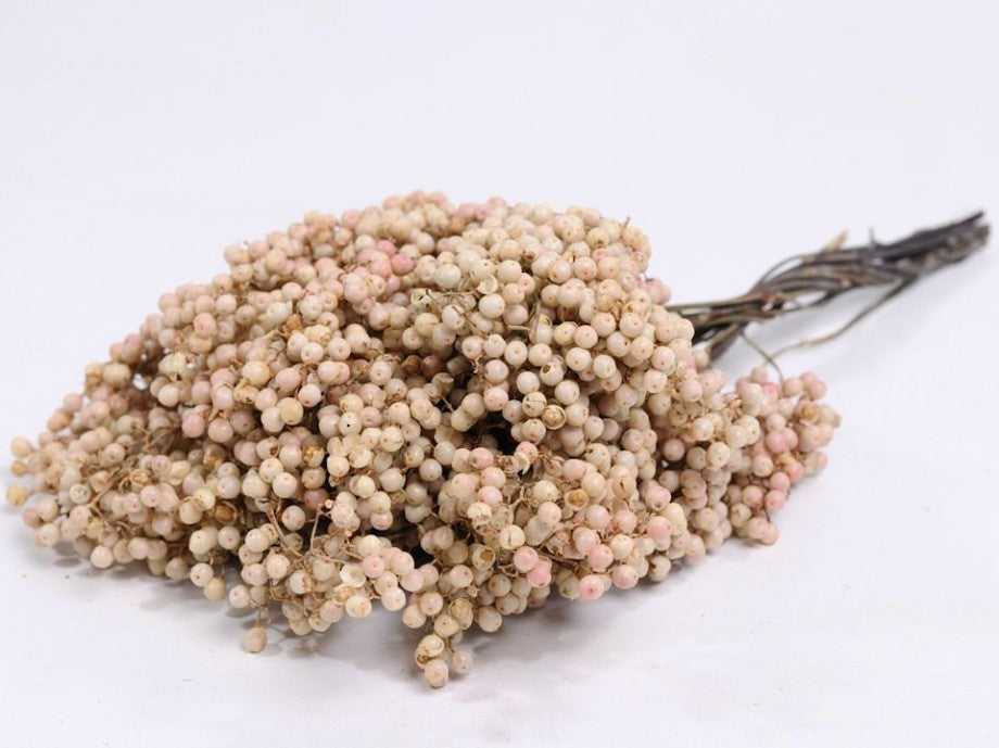 Pepperberry, (Schinus Molle), Dried, White, 160-180g