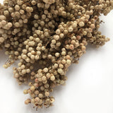 Pepperberry, (Schinus Molle), Dried, White