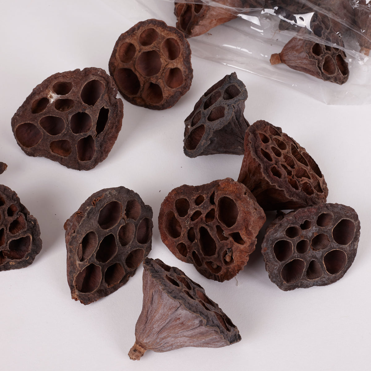 Lotus Heads, Small, Bag of 30